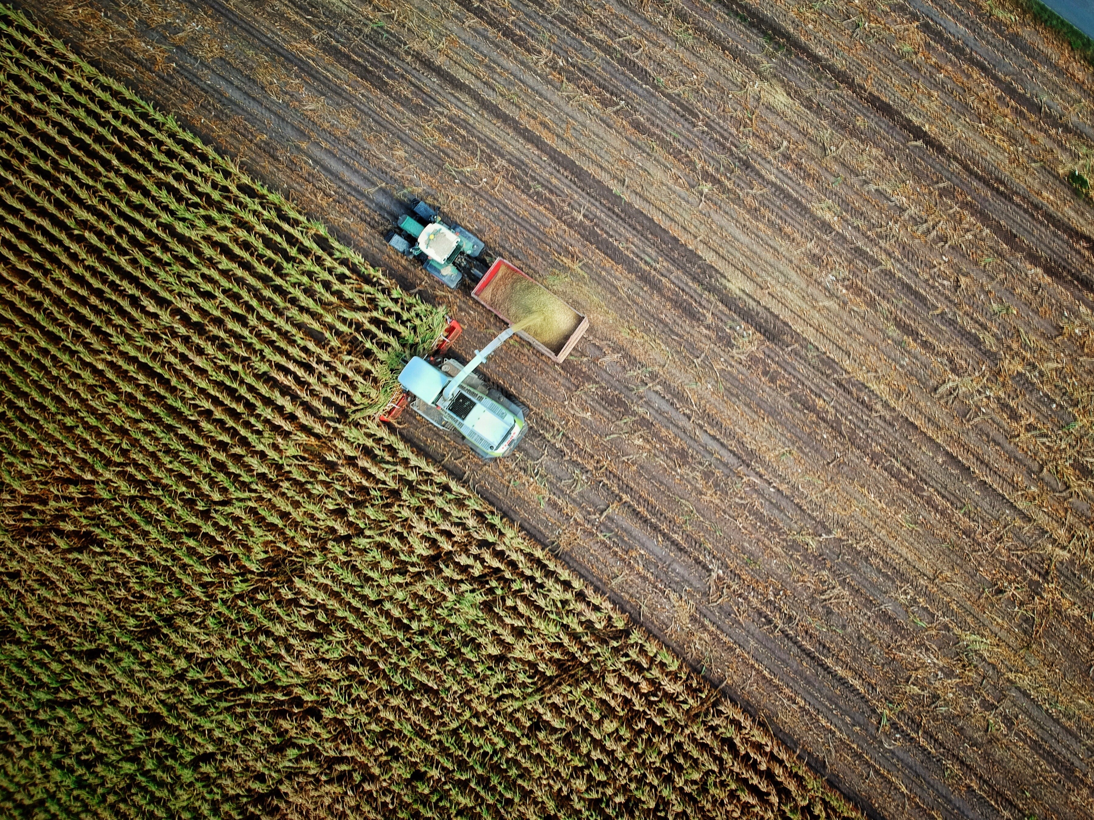 Foment i l’Institut Agrícola demanen la retirada definitiva de l’Agència de Patrimoni Natural