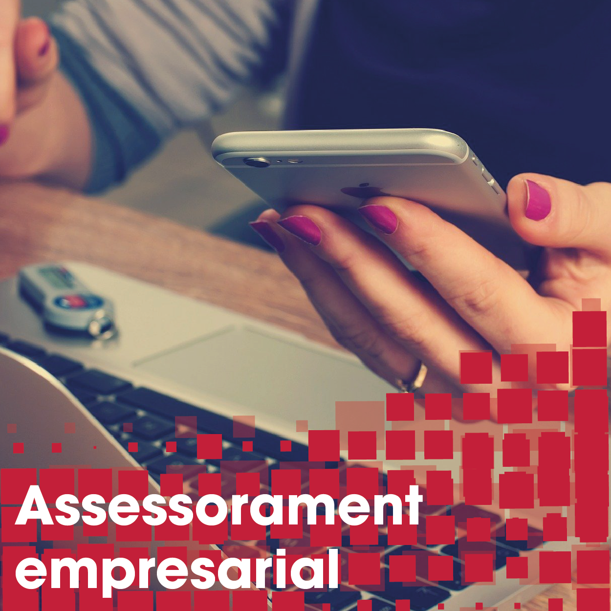 assessorament empresarial_Mesa de trabajo 1