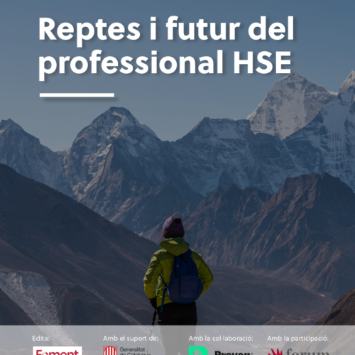 Reptes i futur del professional HSE