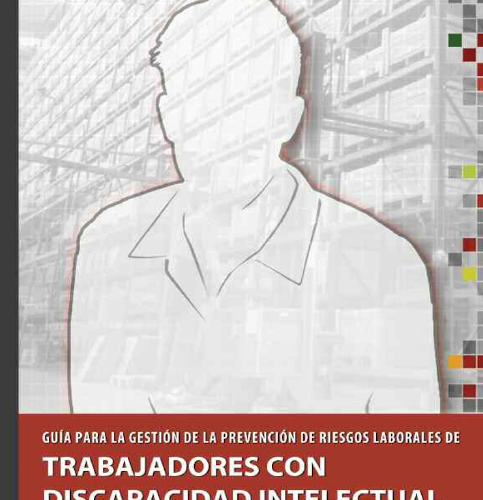 Guía para la gestión de la prevención de riesgos laborales de trabajadores con discapacidad