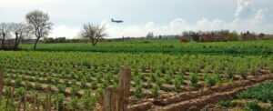 L’Institut Agrícola rebutja l’atac al sector agroalimentari que suposa ampliar la ZEPA del Baix Llobregat