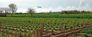 El Institut Agrícola rechaza el ataque al sector agroalimentario que supone ampliar la ZEPA del Baix Llobregat