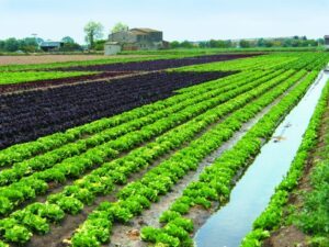L’Institut Agrícola dóna suport a la proposta del hub agroalimentari del Baix Llobregat