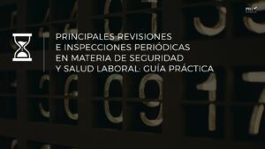 Principals revisions i inspeccions periòdiques en matèria de seguretat i salut laboral