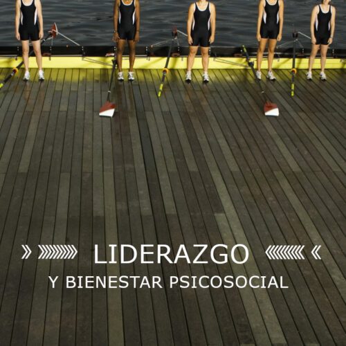 Manual para un liderazgo psicosocialmente saludable