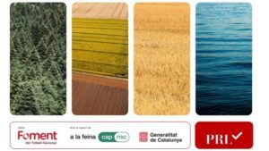 Estudi de detecció i identificació de les necessitats específiques del territori en matèria de PRL