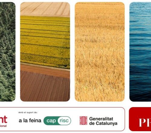 Estudi de detecció i identificació de les necessitats específiques del territori en matèria de PRL