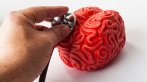 Jornada de PRL. Lidera el canvi en salut mental. Estratègies avançades en la Vigilància de la Salut.