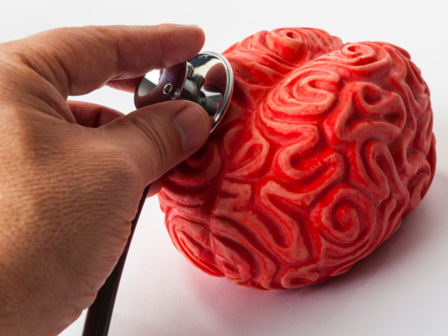 Jornada de PRL. Lidera el canvi en salut mental. Estratègies avançades en la Vigilància de la Salut.