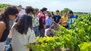 La Primavera del Cava torna per omplir el maig d’experiències entre vinyes
