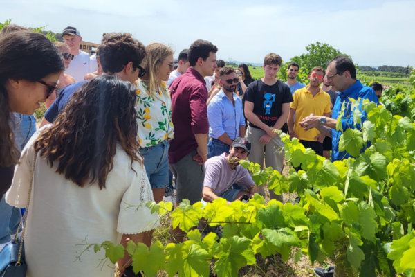 La Primavera del Cava torna per omplir el maig d’experiències entre vinyes