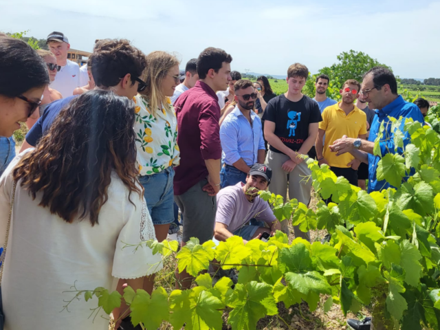 La Primavera del Cava torna per omplir el maig d’experiències entre vinyes