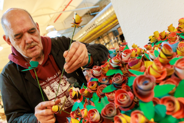 Aquest Sant Jordi, una rosa per a una llar