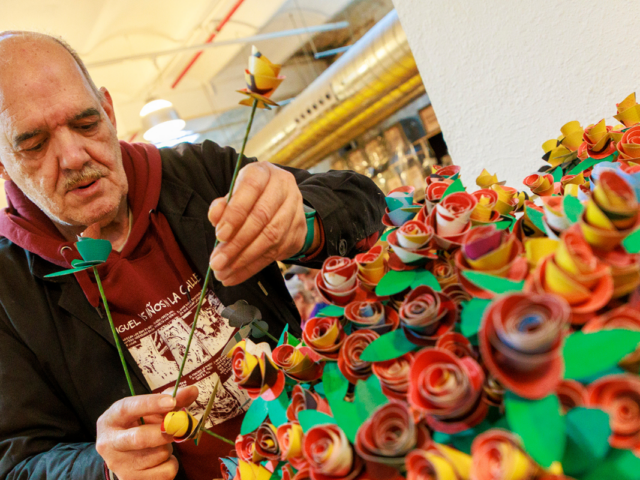 Aquest Sant Jordi, una rosa per a una llar