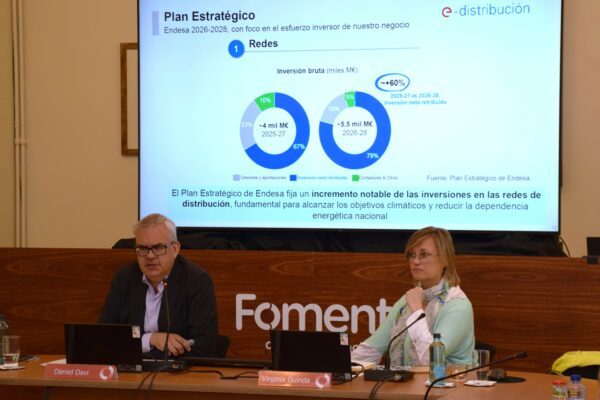 Foment explora amb Endesa la flexibilitat com a nou vector del sector elèctric