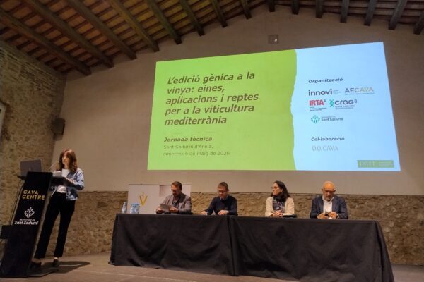 El sector vitivinícola analitza la innovació genòmica per avançar cap a una vinya més resilient i competitiva