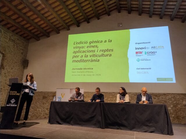 El sector vitivinícola analitza la innovació genòmica per avançar cap a una vinya més resilient i competitiva