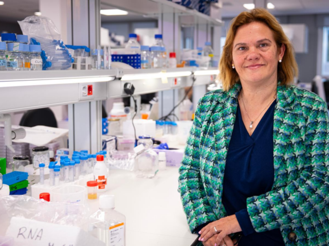 Shilpa Biocare inverteix en Gate2Brain per impulsar G2B-002, un innovador candidat terapèutic per al càncer cerebral
