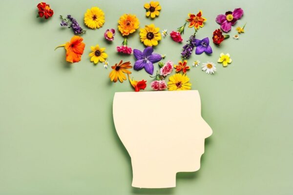 Jornada de PRL. Programes de gestió de la salut mental